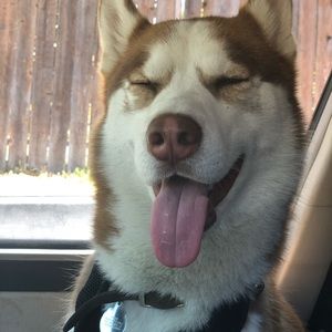 Meet your Posher, Jovany